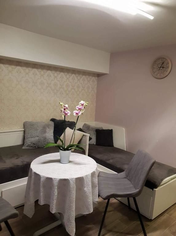 Апартаменты Medziotoju Apartment in Old City 2 Паланга